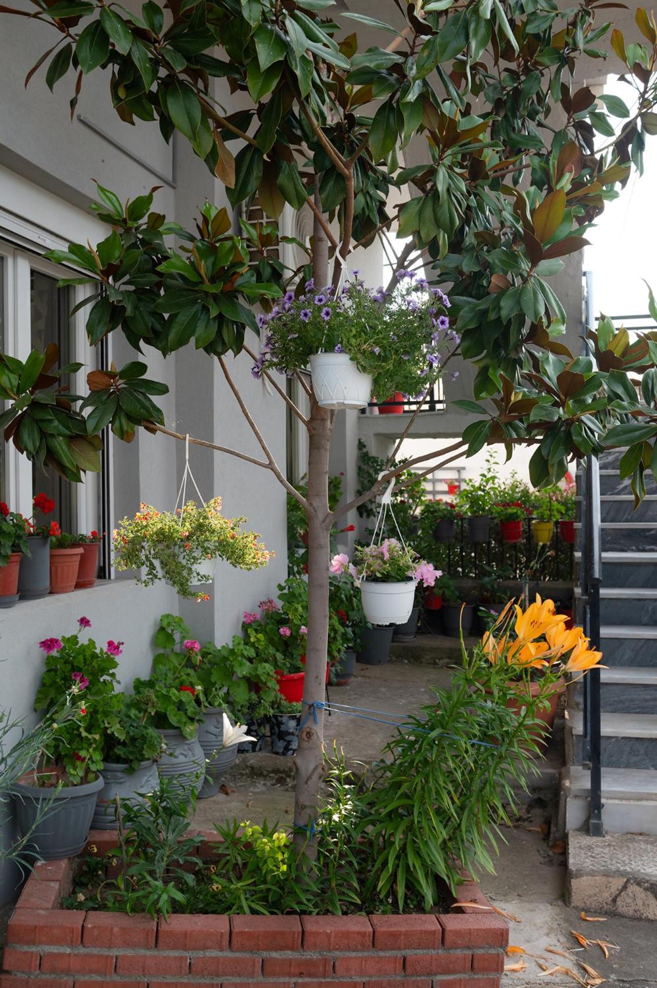 Four Sis Rooms Mangana Ngoại thất bức ảnh